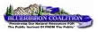 Blue Ribbon Icon